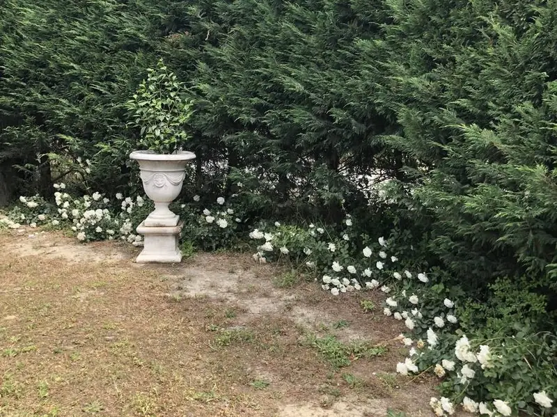 Il vaso ornamentale tra le rose
