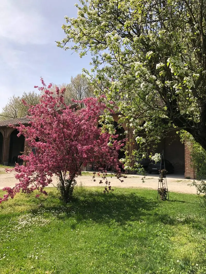 Meli e peri in fiore vicino ai portici